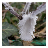 bevroren veer perfect poster (Voorkant)