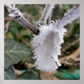 bevroren veer poster (Voorkant)