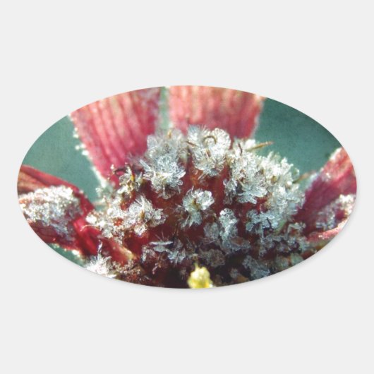 Bevroren ventilator ovale sticker (Voorkant)