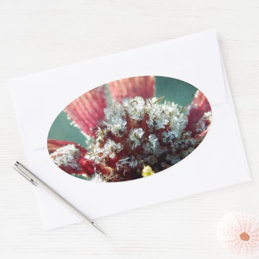 Bevroren ventilator ovale sticker (Envelop)