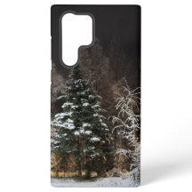 Bevroren Winter Woud Esthetiek