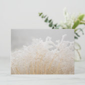 Bevroren wintergrassen kaart (Staand voorkant)