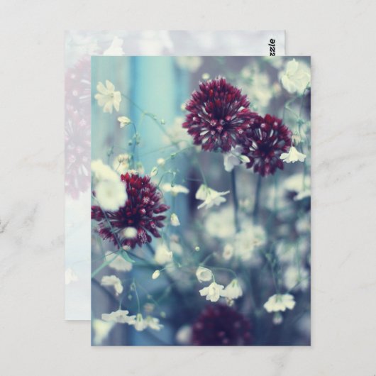 Bevroren zomer briefkaart (Voorkant / Achterkant)