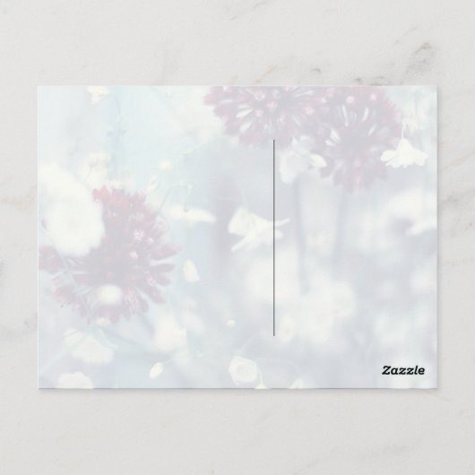 Bevroren zomer briefkaart (Achterkant)