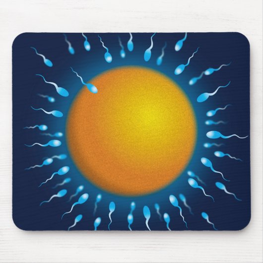 Bevruchting van Eicel en Zaadcel Medische Wetensch Muismat (Voorkant)