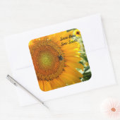 Bewaar Bijen - Zaaizaad Sticker (Envelop)