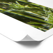 Bewaar de bijen, bloemenletters met bijen poster (Hoek)