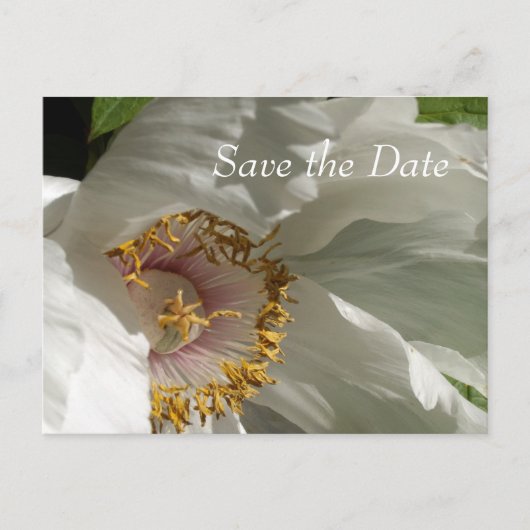 Bewaar de datum aankondigingskaart (Voorkant)