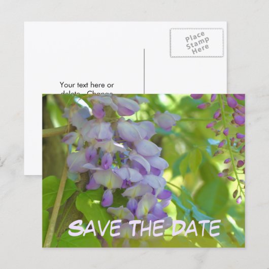 Bewaar de datum bloem Wisteria  Aankondigingskaart (Voorkant / Achterkant)