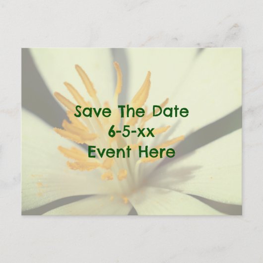 Bewaar de datum Bloodroot Bloem Aankondigingskaart (Voorkant)