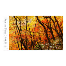 Bewaar de datum Herfst / Herfst Bruiloft 100 Kaart