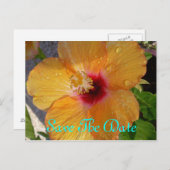 Bewaar de datum Hibiscus Briefkaart (Voorkant / Achterkant)