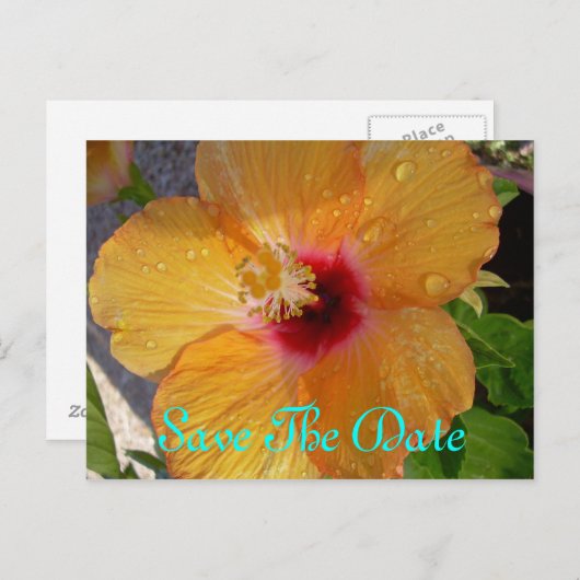 Bewaar de datum Hibiscus Briefkaart (Voorkant / Achterkant)