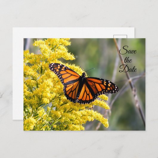 Bewaar de datum Monarch Butterfly Briefkaart (Voorkant / Achterkant)