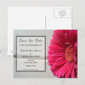 Bewaar de datum Pink Daisy Briefkaart (Voorkant / Achterkant)