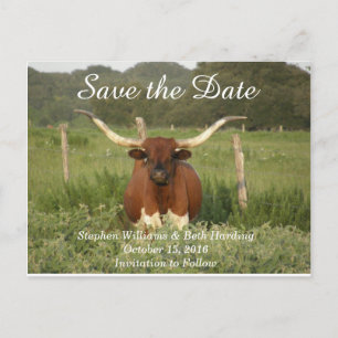 Bewaar de datum Texas Longhorn Aankondigingskaart