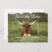 Bewaar de datum Texas Longhorn Aankondigingskaart (Voorkant / Achterkant)
