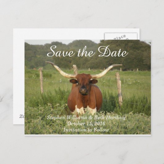 Bewaar de datum Texas Longhorn Aankondigingskaart (Voorkant / Achterkant)