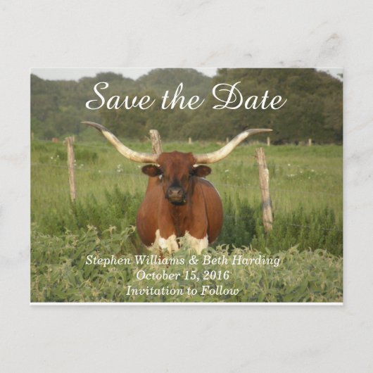 Bewaar de datum Texas Longhorn Aankondigingskaart (Voorkant)