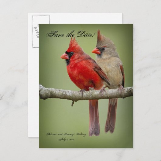 Bewaar de datum voor uw bruiloft / kardinaal paar aankondigingskaart (Voorkant / Achterkant)