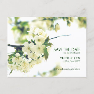 Bewaar de datum White Cherry Blossom Briefkaart
