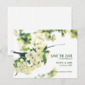 Bewaar de datum White Cherry Blossom Briefkaart (Voorkant / Achterkant)