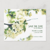 Bewaar de datum White Cherry Blossom Briefkaart (Voorkant)