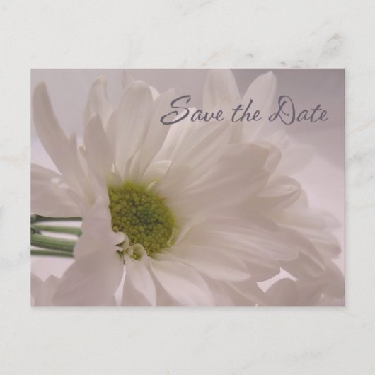 Bewaar de datum - White Daisies Aankondigingskaart (Voorkant)