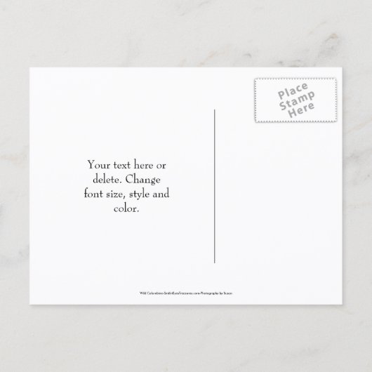 Bewaar de datum Wilde Columbine Bloem Aankondigingskaart (Achterkant)