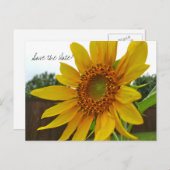 Bewaar de datum Zonnebloem briefkaart (Voorkant / Achterkant)