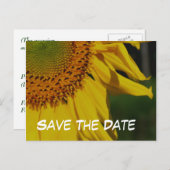 Bewaar de datum Zonnebloem Foto Briefkaart (Voorkant / Achterkant)