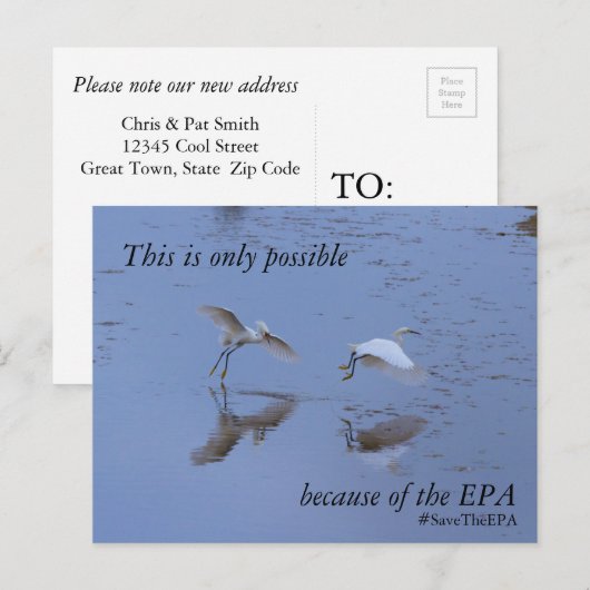 Bewaar de EPA Snowy Egret Heron Aankondigingskaart (Voorkant / Achterkant)