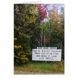 bewaar de maïsgroen