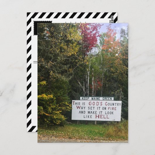 bewaar de maïsgroen briefkaart (Voorkant / Achterkant)