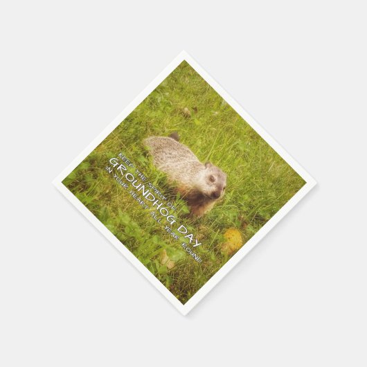 Bewaar de Spirit of Groundhog Day servetten (Hoek)