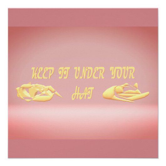 Bewaar het onder je pet Secrets Design Metal Prin Perfect Poster (Voorkant)