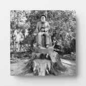 Bewaker van het bos fotoplaat (Voorkant)