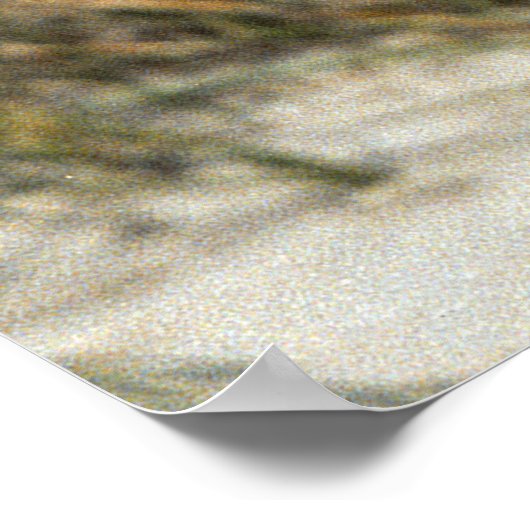 Bewaker van Tybee Island Poster (Hoek)