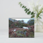 Bewakers van de Glen Briefkaart (Staand voorkant)