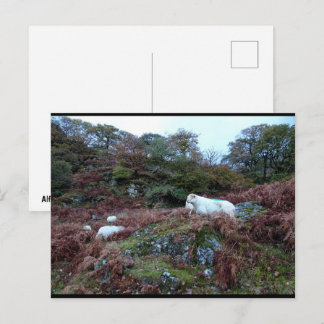 Bewakers van de Glen Briefkaart