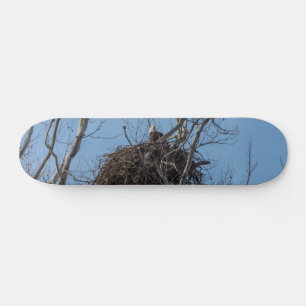 Bewaking Eagle Skateboard