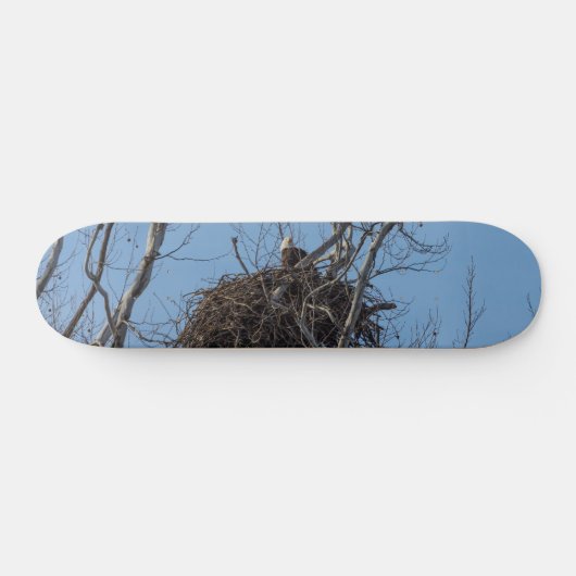 Bewaking Eagle Skateboard (Horizontaal)
