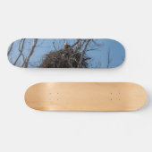 Bewaking Eagle Skateboard (Horizontaal)