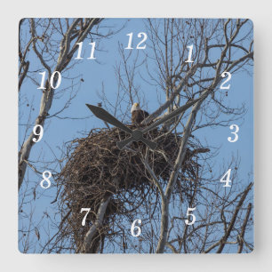 Bewaking Eagle wandklok