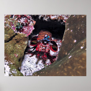 Bewaking van de ingang poster