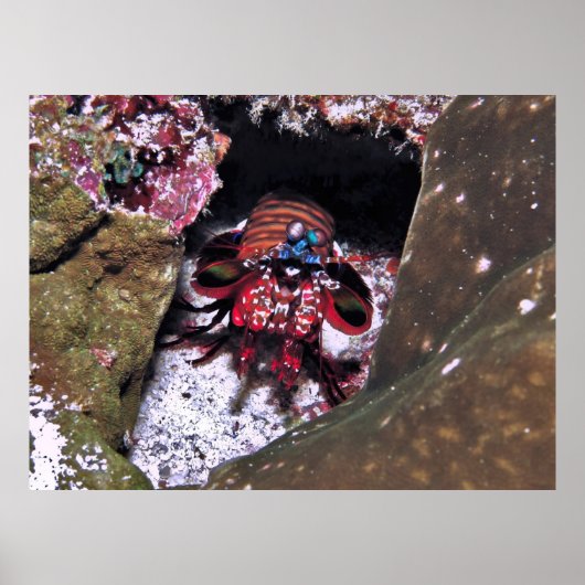 Bewaking van de ingang poster (Voorkant)