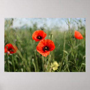 Bewakingspapieren Poster