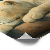 Bewakte rust - Leeuwenpaar in Sanctuary-omgeving Poster (Hoek)