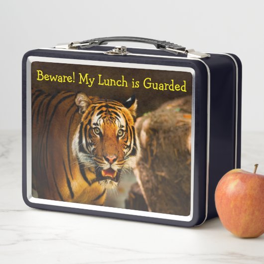Beware! My Lunch is Guarded Tiger close-up (In situ)