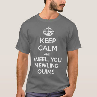 BEWAREN CALM en Kneel T-shirt